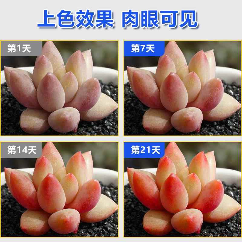多长肉拟补光灯专用上色太阳光ATT家用led植物生模灯排室内防徒长
