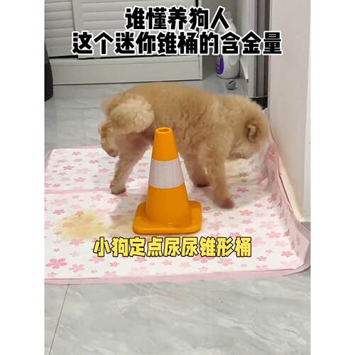 狗狗尿尿立柱公狗定点厕所抬腿撒尿雪糕桶训练撒尿锥桶防乱尿神器
