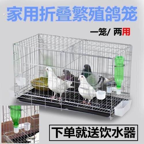 鸽子笼养鸽子专用笼养殖笼家用繁殖笼配对笼大号新型鸽舍鸽子笼子
