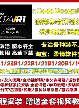 ANSYS 2024 R1 nCode DesignLife 疲劳寿命预测分析软件 win系统
