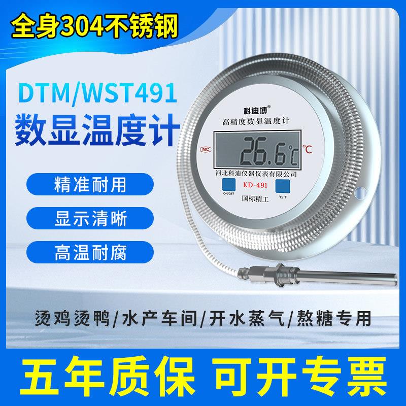 数显温度计测水温工业用水温测量计带监视器491不锈钢电子温度表