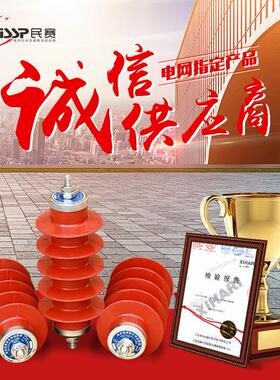 10KV高压避雷器厂家直销HY5WS-17/50配电型金属氧化锌避雷器