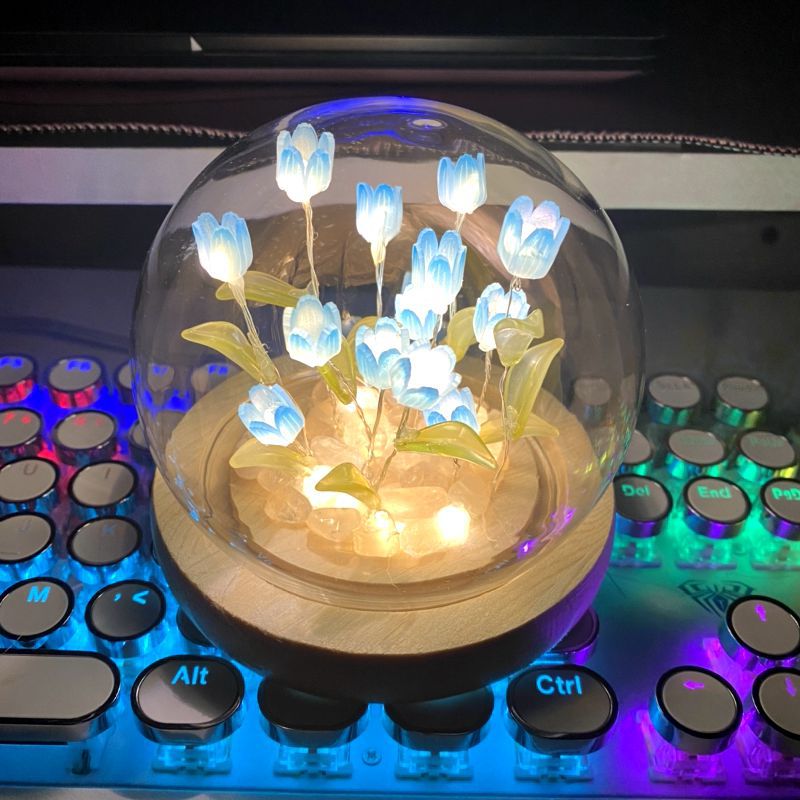 现货速发包邮郁金香小夜