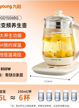 办公室烧水壶九阳养生加厚养生杯