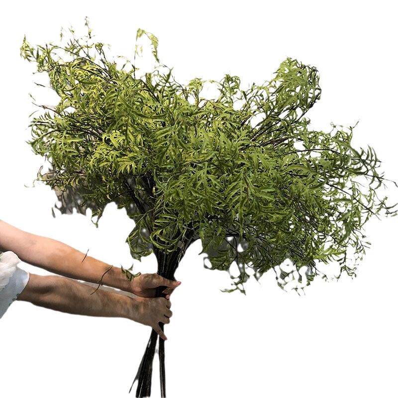 仿真海金沙植物叶子仿真柳枝波斯叶软装花材仿真蕨草软胶蕨叶长杆