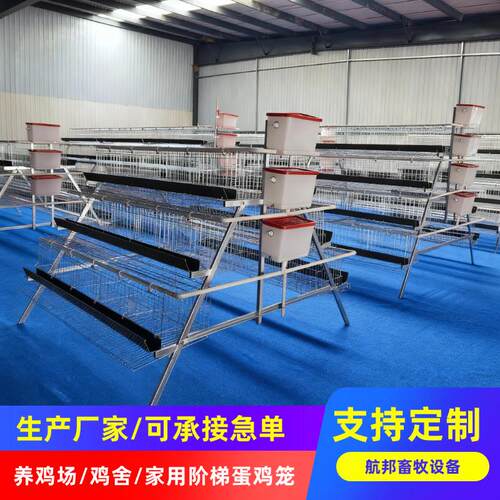 A型养殖鸡笼三层四门阶梯式热镀锌蛋鸡笼养殖场养鸡设备厂家