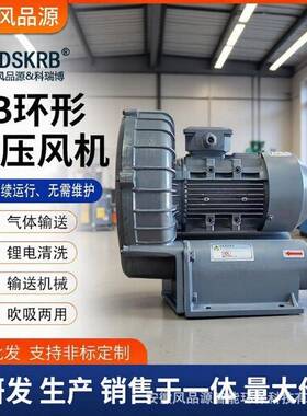 RB-750A0.75kw高压漩涡风机环形高压鼓风机吸料设备风机750w现货