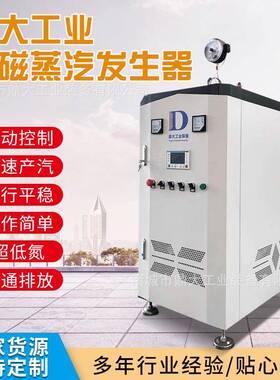 电磁蒸汽发生器 60/80/180kw高温过热蒸汽发生器工业商用蒸汽锅炉