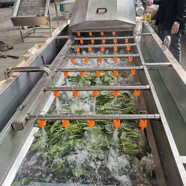 海鲜贝类清洗机多功能果蔬高压清洗设备磷虾海蜇前加工设备