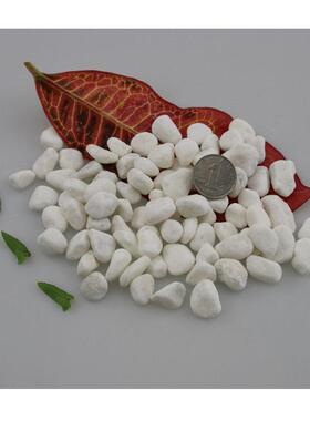 色2m030m纯黑雨花石铺路石|-圆润防滑砾石+白水626磨石庭院造景组