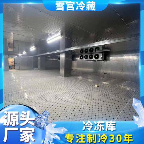 海肉类速冻鲜 水果蔬菜保鲜库商 超市用速冻库库低雪宫冷藏温冷库