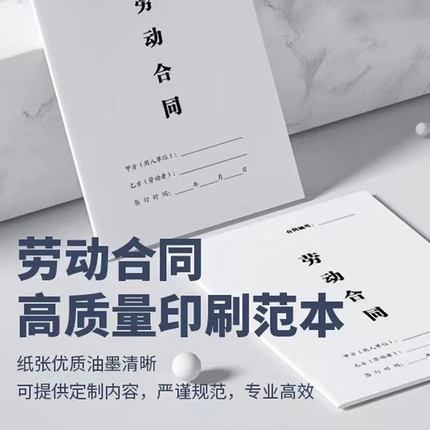 2024新版正规劳务劳动合同公司招聘员工雇佣用工协议