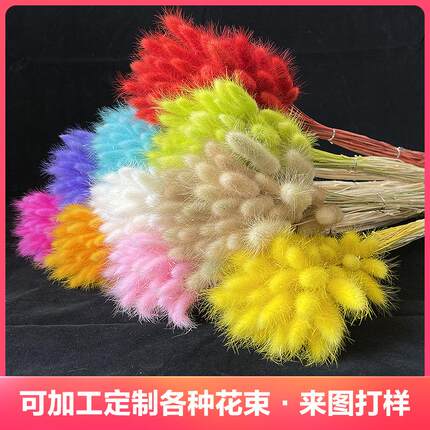 兔尾草干花花束 真花永生花狗尾巴草 兔尾草家居装饰拍摄道具