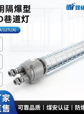 DGS24/127L(A)矿用隔爆型LED巷道灯 长型矿用巷道灯应急照明灯