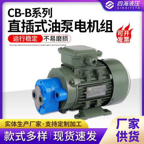 CB-B2.5JZ B4JZ直插式齿轮油泵电机组CB-B10JZ B6JZ齿轮泵电机组