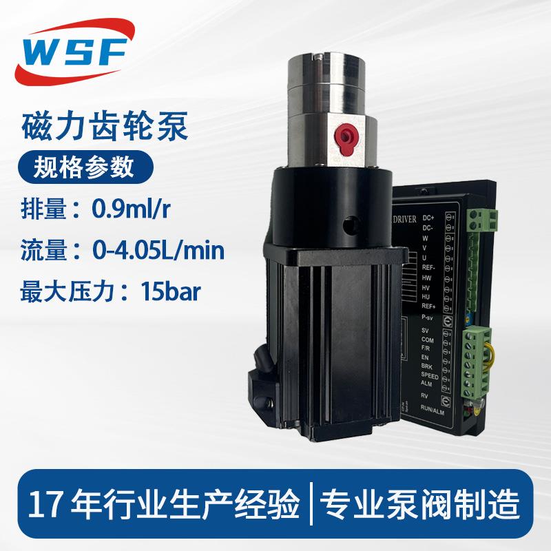 微型磁力齿轮泵 不锈钢316灌装计量化工泵咖啡机磁力泵 深圳厂家