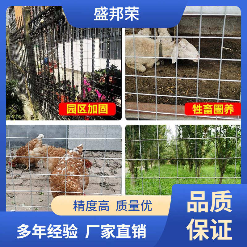 盛邦荣养鸡围栏镀锌铁丝网养护栏网盛邦荣栅栏果园防护隔离网电焊