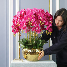 仿真花高档蝴蝶兰盆栽装饰花艺摆件客厅轻奢插花高端摆设假花