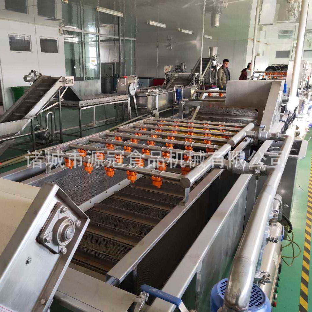 供应全自动蔬菜清洗机圣女果菠菜白菜清洗机海带脱盐流水线 省人