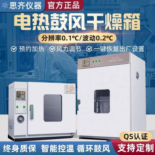 电热恒温鼓风干 干燥箱高温加热小型工业烤箱医用烘干 干机实验室烘箱