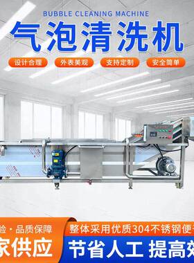 商用气泡清洗机西瓜水果蔬菜土豆萝卜大型多功能