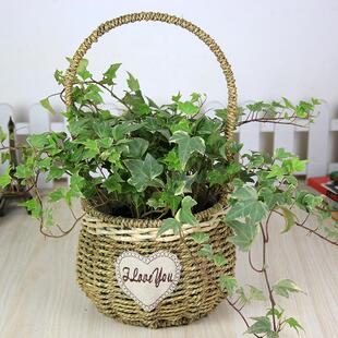 草编织花篮花瓶摆件手提客厅插花满天星干花北欧现代简约藤编花盆