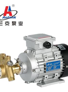 厂家供应 高扬程叶片泵 耐高温热油循环叶片泵VPS-05-300