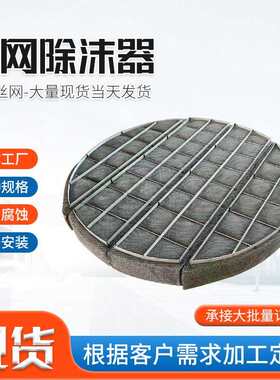 除雾器不锈钢异形丝网除雾器板式油烟净化水雾气液分离网过滤网
