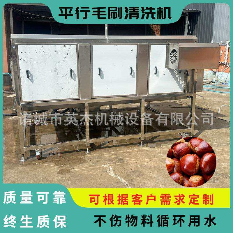 商用栗子辊平行毛机机 板栗平行CKJ毛辊清洗 高清压喷喷毛刷洗清