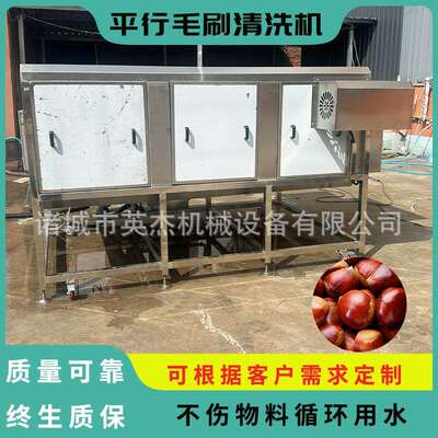 商行用栗子平行毛辊机 毛板栗RRA平毛辊清机洗 高压喷喷刷清洗清