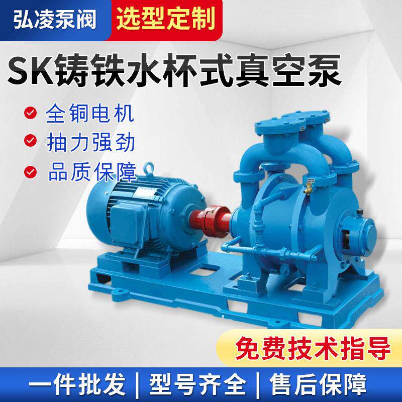 供应水环式真空泵SK铸铁水环式真空泵