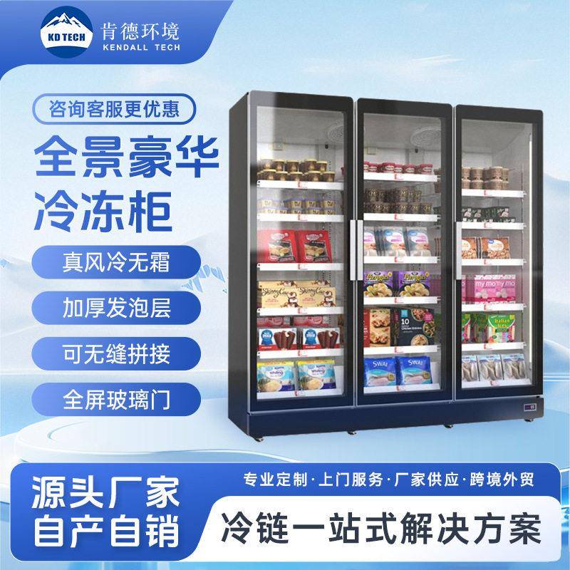 跨境定制商超冷冻柜速冻柜三门立式冰箱展示柜生鲜冷冻冷藏柜