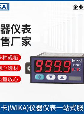 wika销售威卡多功能数字显示仪DI35