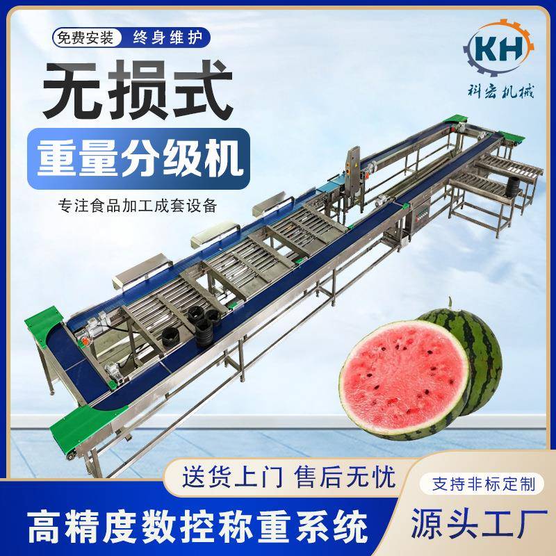 机械无损重量分选机榴莲芒果菠萝智能分拣水蜜桃榴莲重量分选