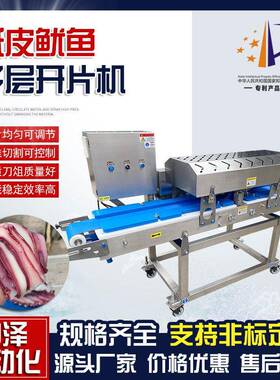 纸皮鱿鱼切片机冷冻鱿鱼水平切片设备商用鱿鱼须全自动切片机