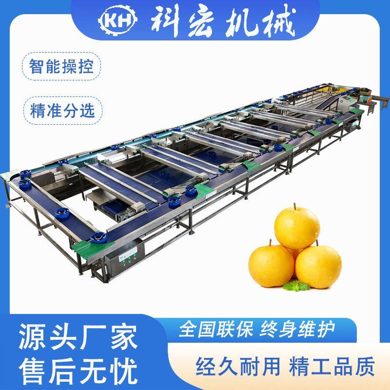 山东科宏机械无损式分选机水蜜桃柚子智能分选西瓜火龙果重量分拣