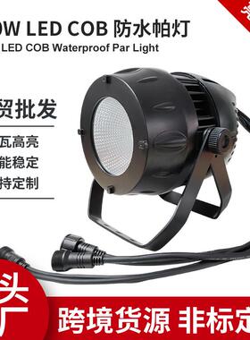 200WLED防水帕灯厂家供应全彩公园户外舞台染色led景区防水帕灯