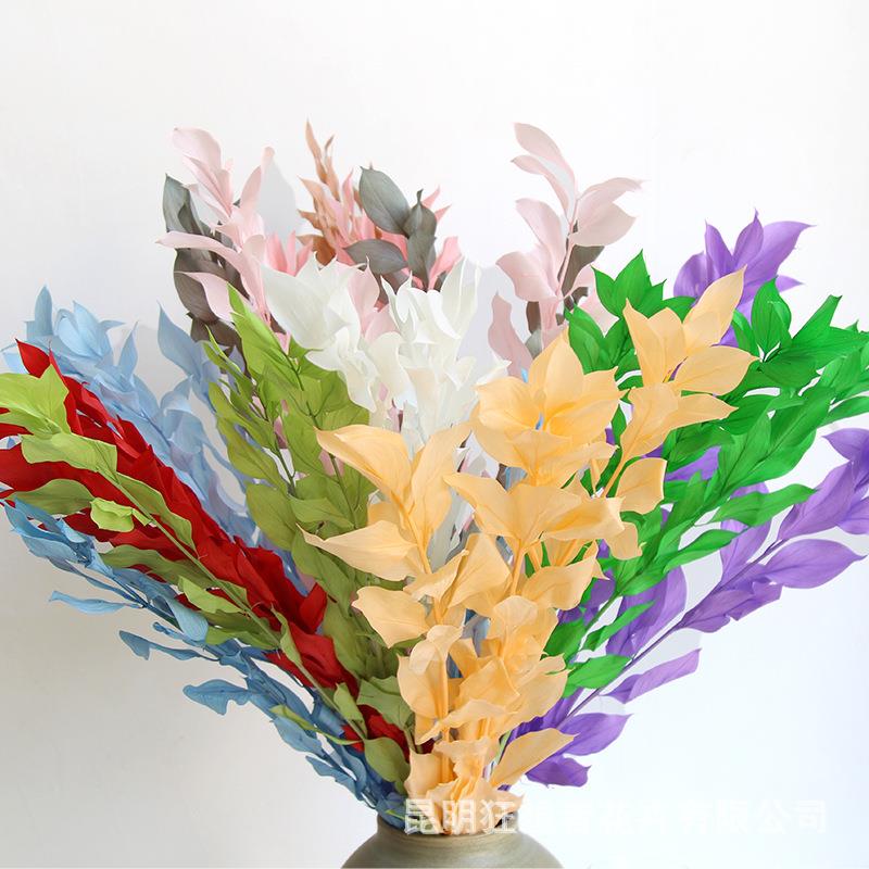 狂想者新品永生桔叶自然干花真花diy材料包花艺插花花束家居装饰