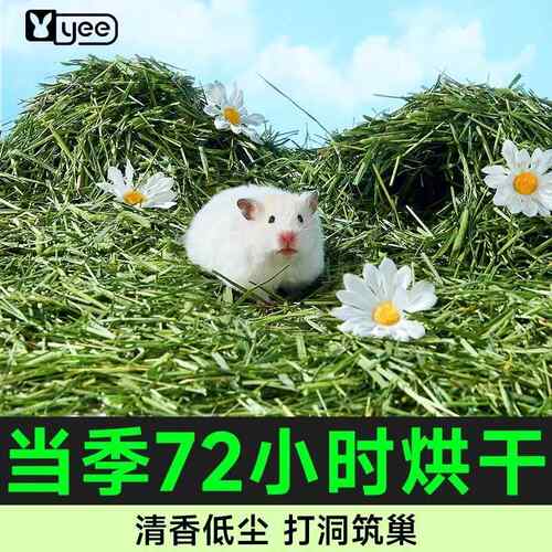 yee提摩西垫料小仓鼠夏天除臭吸水造景装饰木屑金丝熊花枝鼠用品