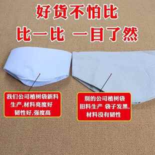 大量多规植袋格加厚树育盆苗RRL袋营养杯园林植树花一件