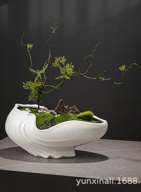 2020跨陶花盆家用盆景境盆工艺酒瓷店创用意个性家用餐厅商小绿植