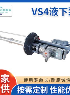 厂家VS4液下泵不锈钢立式液下泵排污泵液下污水泵液下抽沙泵