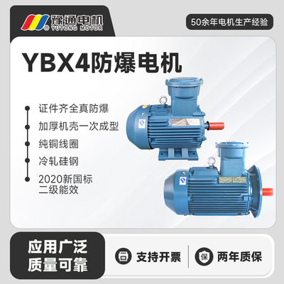 YBX4二级能效三相380V防爆电机BT4二类防爆全密封机壳隔爆