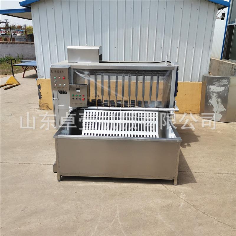 屠宰场专脱毛器猪脱毛机毛机全自刨动杀神猪打ZY-ZTMJ毛机整猪用