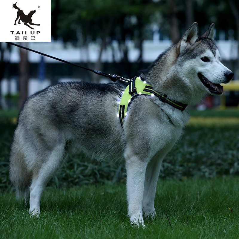 宠物用品LED马鞍狗狗胸背带牵引牛津布中大型犬易控夜间出行新品