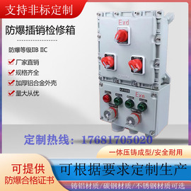 防爆配电箱接线箱防爆检修插座箱插销箱电源开关箱非标定制