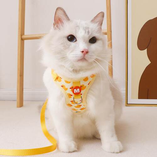 猫咪牵引绳高颜值防挣脱外出专用网红幼猫德文猫绳子可调节遛猫绳