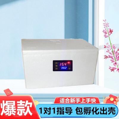 水床孵化器家用小型全自动恒温小鸡鸭鹅鸽子鹦鹉乌龟孵化箱孵蛋机