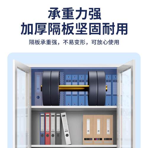 文件柜办公室皮资料柜财务凭证案制柜钢员工宿舍储档文件柜物铁柜