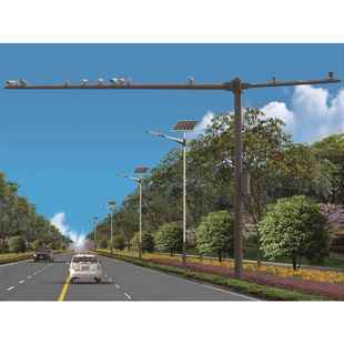 热镀锌锥形度8八棱角L型T形卡口监控电警立杆 信号红绿灯立杆